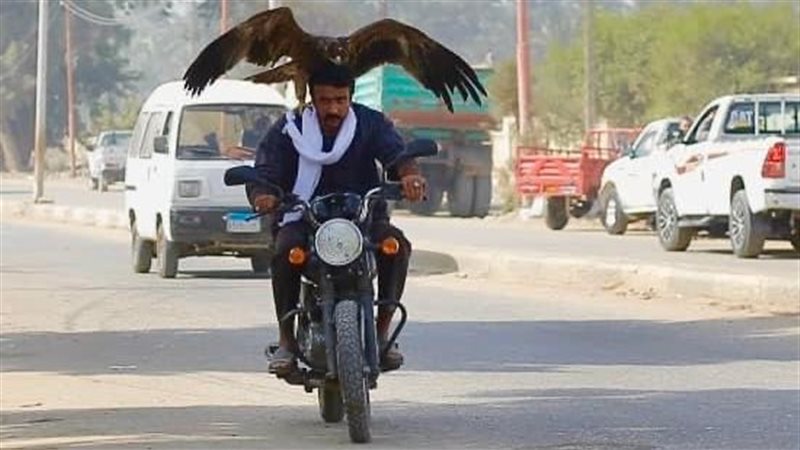 أحمد العوضي، فيتو