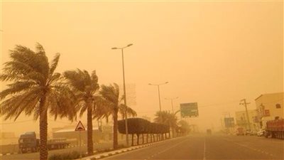 هل تتعرض البلاد لعاصفة ترابية ورملية غدا؟ الأرصاد الجوية تجيب (فيديو)