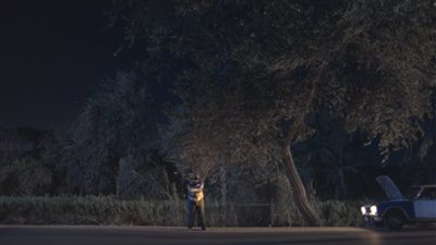 الفيلم المصري 