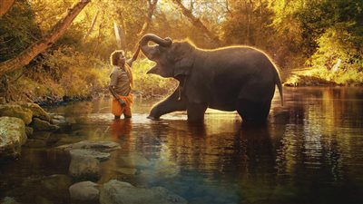 الأوسكار، جوائز الأفلام القصيرة The Elephant Whisperers أفضل وثائقي وThe Boy أفضل أنيميشن