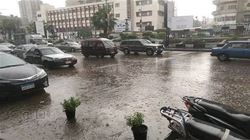 حالة الطقس غدا، فيتو