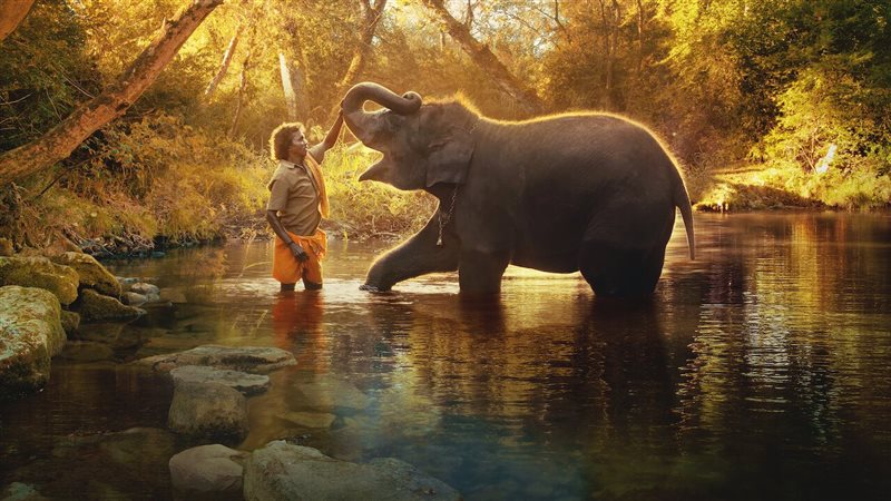 The Elephant Whisperers،