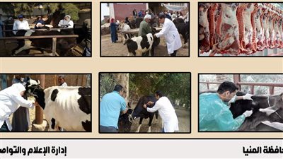 بيطري المنيا يحرر 24 محضرا خلال حملات على الأسواق والمطاعم