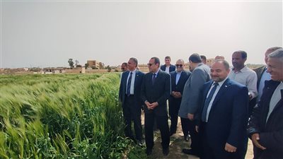 محافظ شمال سيناء يؤكد أهمية التعليم الفني خلال افتتاح مزرعة مدرسة ثانوي