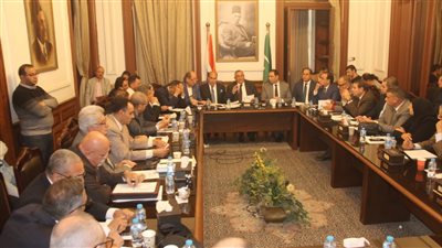 رئيس الوفد يستجيب لتوصيات الهيئة العليا واستمرار اللجان العامة لـ 6 أشهر