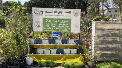 جولة في معرض الزهور الدائم بالدقي (صور)