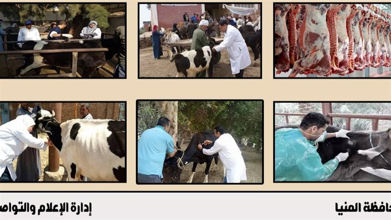 محافظة المنيا، فيتو
