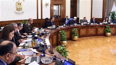 قرارات مجلس الوزراء، إعفاء 25 ألف طن دواجن مجمدة من الضرائب الجمركية