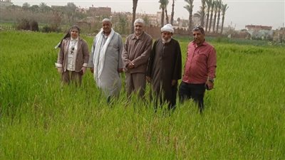 زراعة الإسماعيلية تنظم يوما حقليا لمزارعي الشعير (صور) 