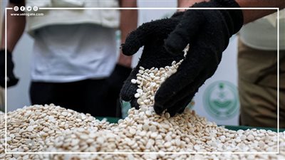 منها زراعة الثدي وغواصة الكوكايين، أغرب طرق تهريب المخدرات في العالم | فيديو جراف