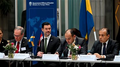 وزير التجارة يبحث مع مستثمرين من السويد فرص الاستثمار بالسوق المصري