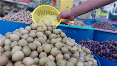 منتجات صحراوية لا غنى عنها في رمضان.. الزيتون والبلح والنعناع الأشهر بمطروح