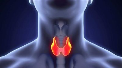 6 أعراض للإصابة بأمراض الغدة الدرقية 