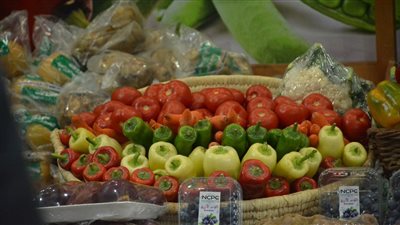 أسعار الخضار بمعرض أهلا رمضان في مدينة نصر (صور)