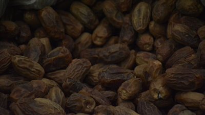 أسعار البلح في معرض أهلا رمضان بمدينة نصر (صور)