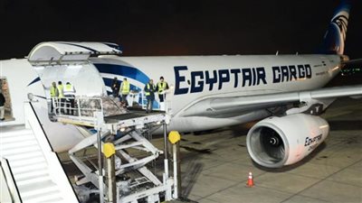 اللحوم التشادية تتصدر تويتر بعد وصولها مصر، ومتابعون: تفكير خارج الصندوق وجات في وقتها