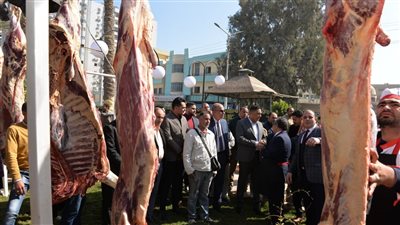 محافظ الدقهلية يدشن مبادرة تخفيض أسعار اللحوم لـ150 جنيها (صور)