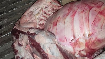 ضبط 200 كيلو لحوم غير صالحة للاستهلاك الآدمي في المنوفية