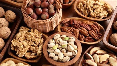 القومي للبحوث يكشف نجاح تجربة زراعة أشجار المكسرات في مصر