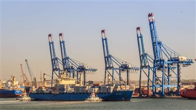 تداول 29 سفينة بضائع متنوعة داخل ميناء دمياط 