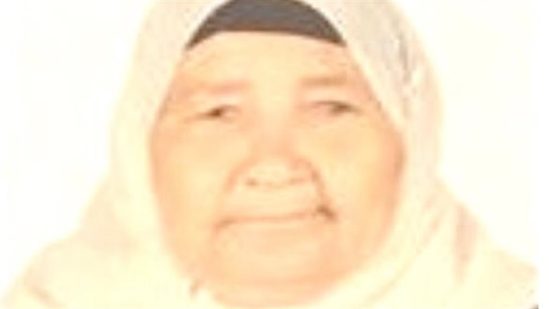 الأم المثالية فضيلة