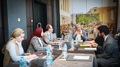 وزيرة البيئة تناقش معايير تمويل المناخ واعتماد شهادات الكربون الطوعية 