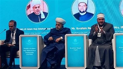 مستشار مفتي الجمهورية: قرار إعلان الحرب بيد الدولة فقط ولا توجد آية اسمها السيف 