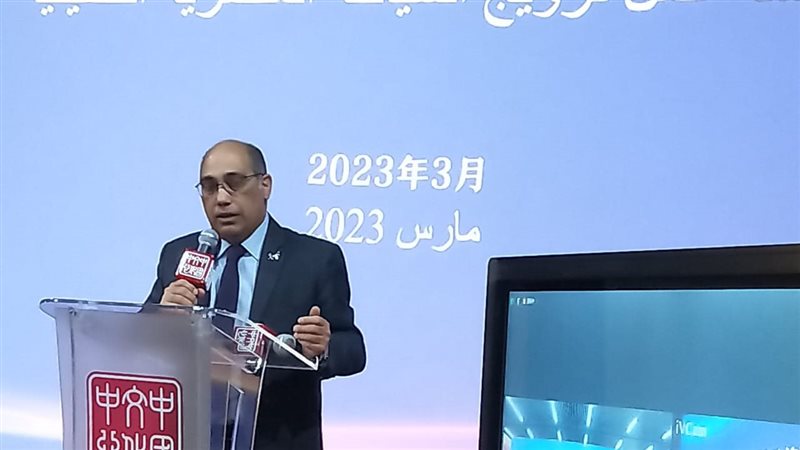 عمرو القاضي رئيس