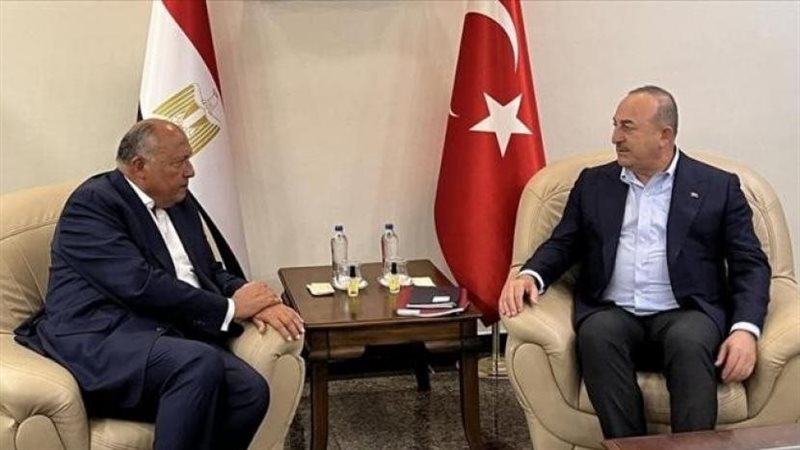 سامح شكري وزير الخارجية