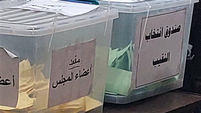 غلق التصويت وبدء الفرز باللجنة الفرعية لانتخابات الصحفيين بالإسكندرية 