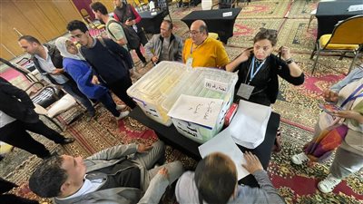 تقدم خالد البلشي على ميري في لجنتي (٨) و(١٥) بانتخابات الصحفيين