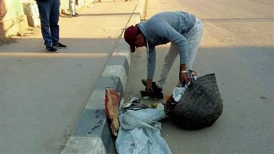 رفع 330 طن قمامة وأتربة من شوارع وميادين المنطقة المركزية بالدقهلية