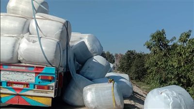 رفع حمولة 25 بالتة مواد خام بعد أن سقطت من سيارة نقل ثقيل بالإسماعيلية (صور)