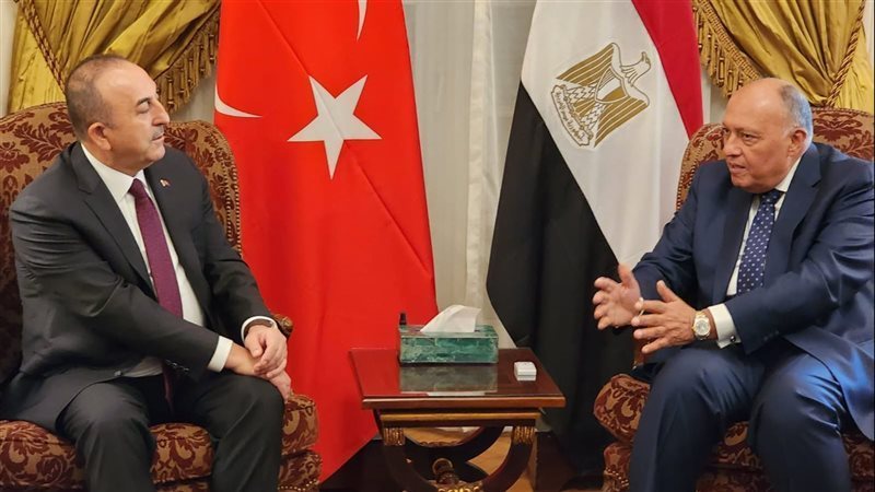 سامح شكرى وزير الخارجية