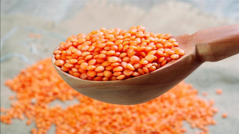 أسعار العدس اليوم،