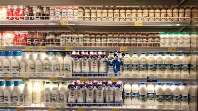 أسعار منتجات الألبان في السلاسل التجارية (صور)