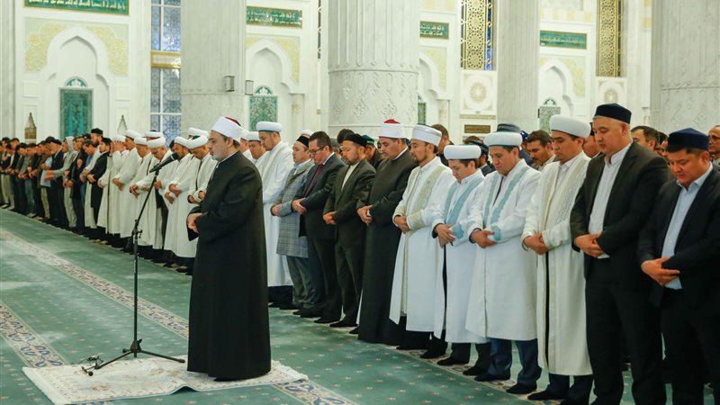 جولات شيخ الأزهر