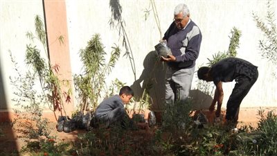 انطلاق حملات تشجير وزراعة الشتلات بساحل سليم في أسيوط 