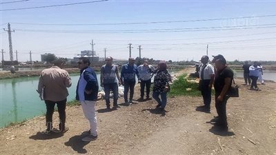 إزالة 35 مزرعة سمكية بالشرقية 