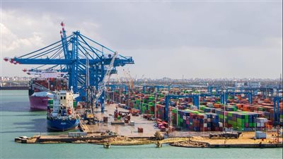 تداول 28 سفينة بضائع متنوعة بميناء دمياط