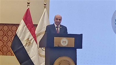 وزير العدل: إنهاء التكدس في القضايا المدنية ودعاوى الأسرة 