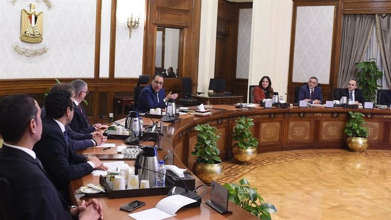 مجلس الوزراء، فيتو