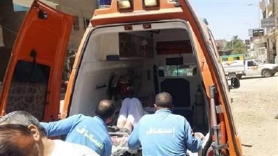 قرار جديد في واقعة دهس ميكروباص 5 أشخاص بينهم سيدة في الشرقية