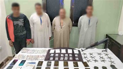 حبس تشكيل عصابي لتجارة المخدرات والأسلحة النارية في الشرقية