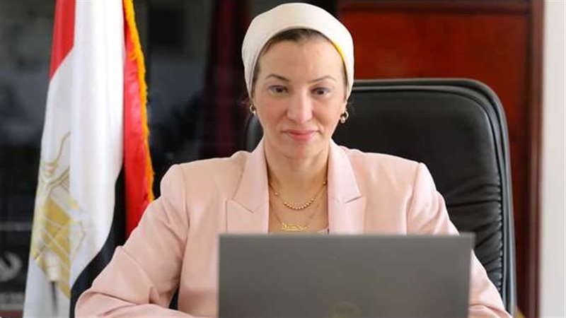 ياسمين فؤاد وزير