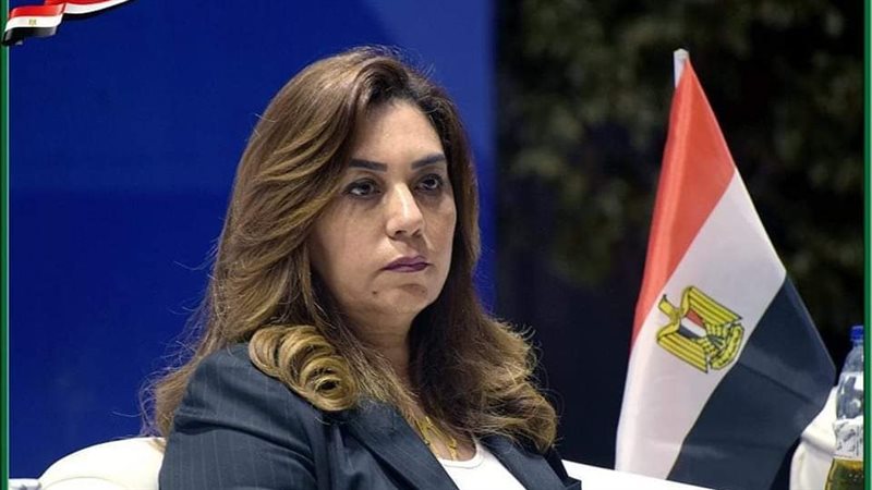 محافظ دمياط،ڤيتو