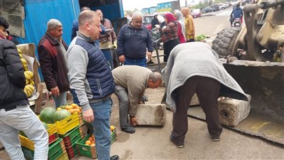 حملات مكثفة لرفع الإشغالات وإزالة معوقات الحركة المرورية بشوارع الدقهلية 