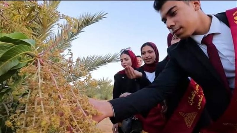  حملة شوف بنفسك،