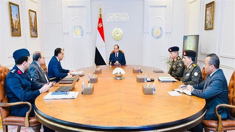 نشاط الرئيس السيسي