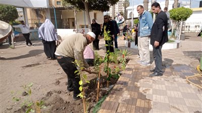 تشكيل لجنة لمتابعة أعمال زراعة الأشجار في الدقهلية 